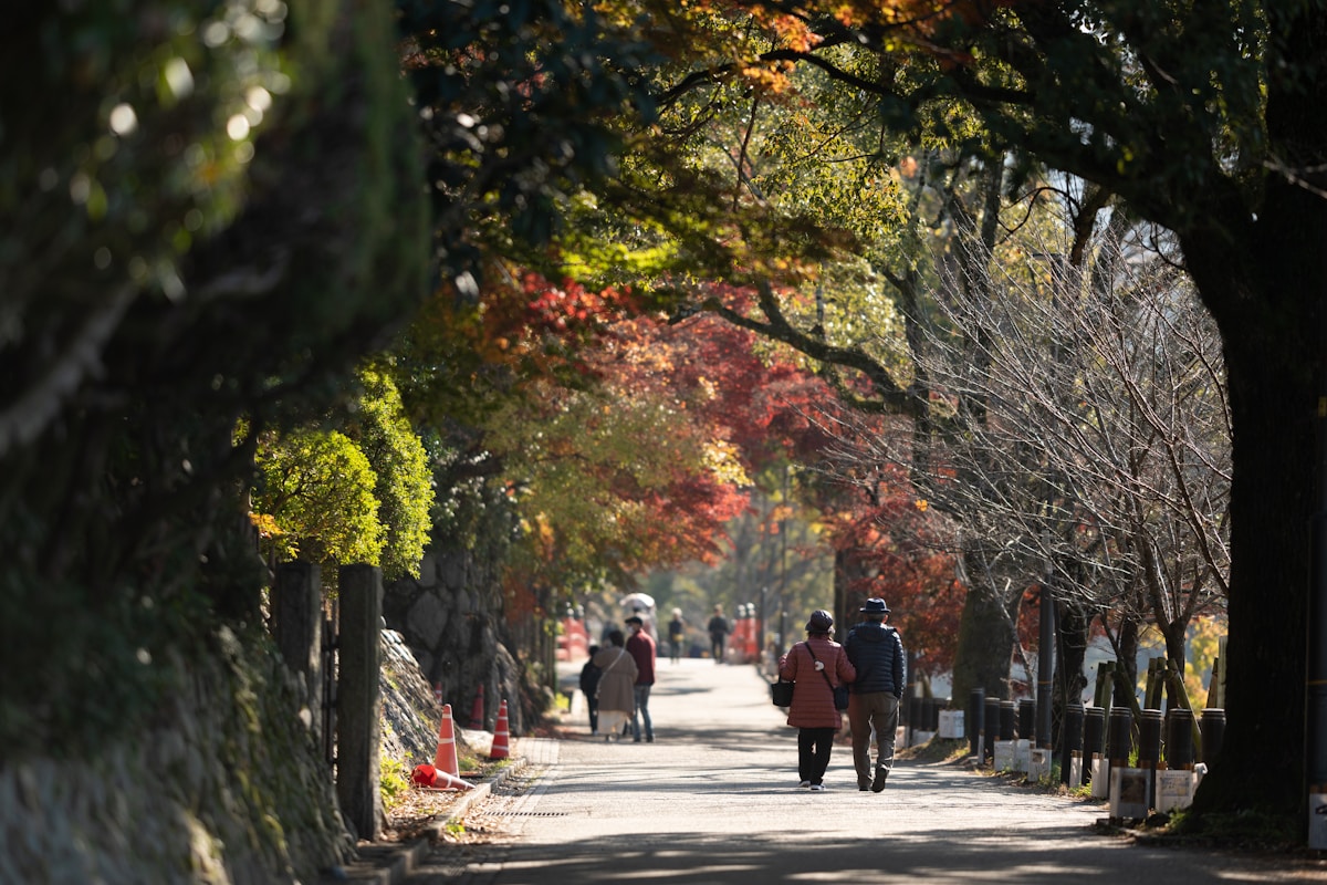 Exploring the Streets of Kyoto